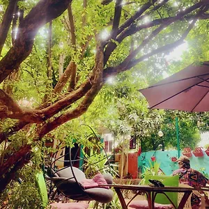 Hostal Vague, Antalya